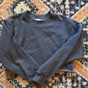 TNA Blue-Gray Cozy Cropped Sweatshirt